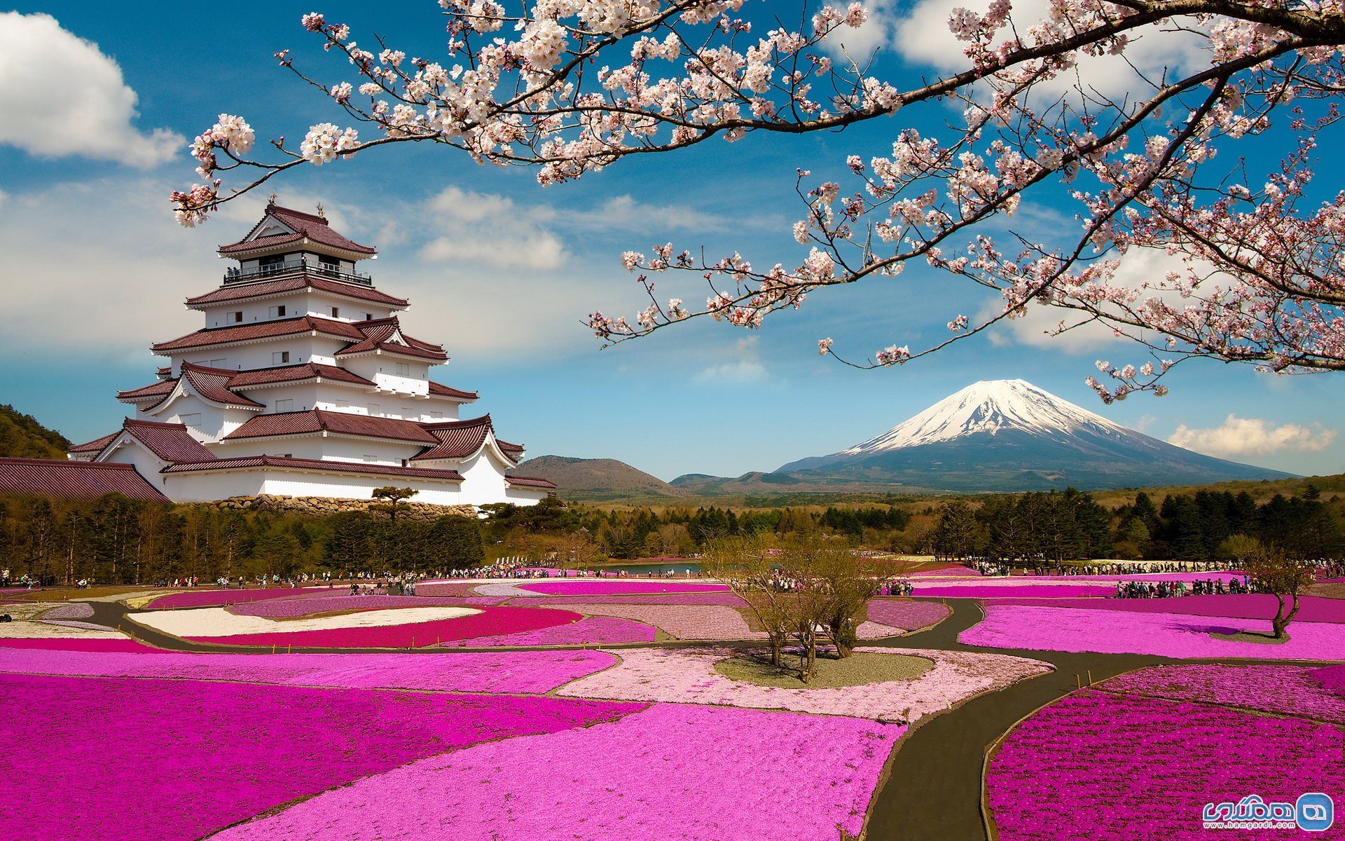 پیشنهادهای عالی برای سفر علاقمندان به طبیعت در ژاپن