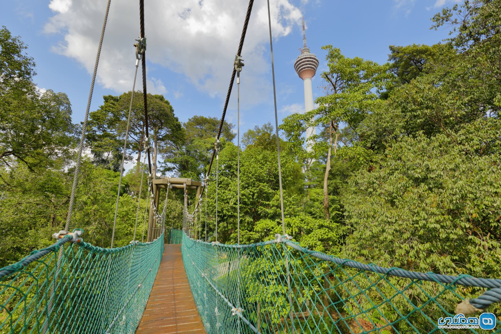 روی پل های معلق پارک جنگلی کوآلالامپور KL Forest Eco Park راه بروید