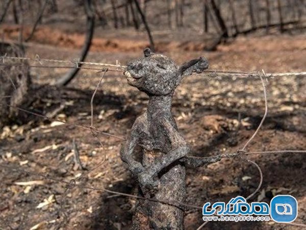 آتش سوزی در استرالیا 2