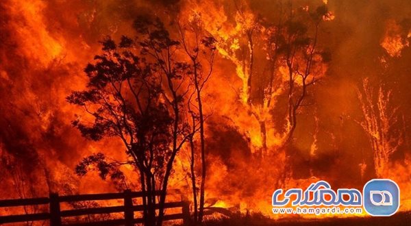 آتش سوزی در استرالیا 3