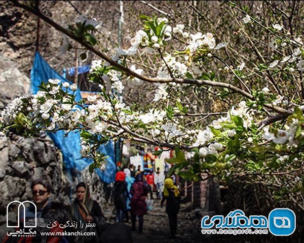 تهران؛ پایتخت 200 ساله