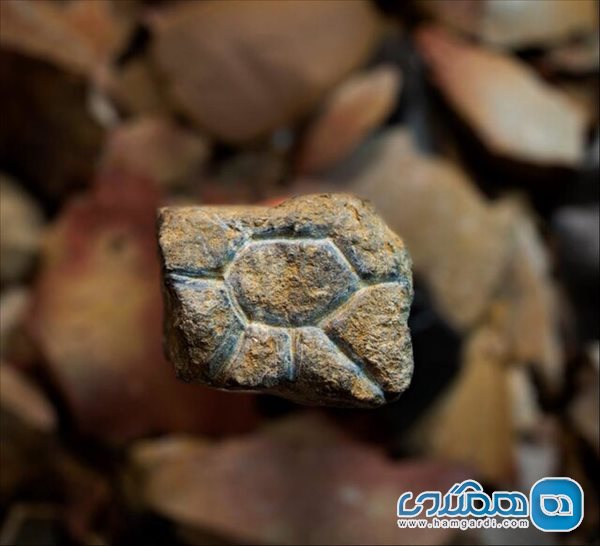 کشف سنگ نگاره های 20 هزار ساله در جزیره سولاوسی