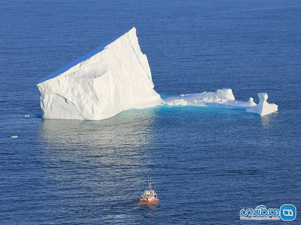 آیس برگ نست Iceberg Nest
