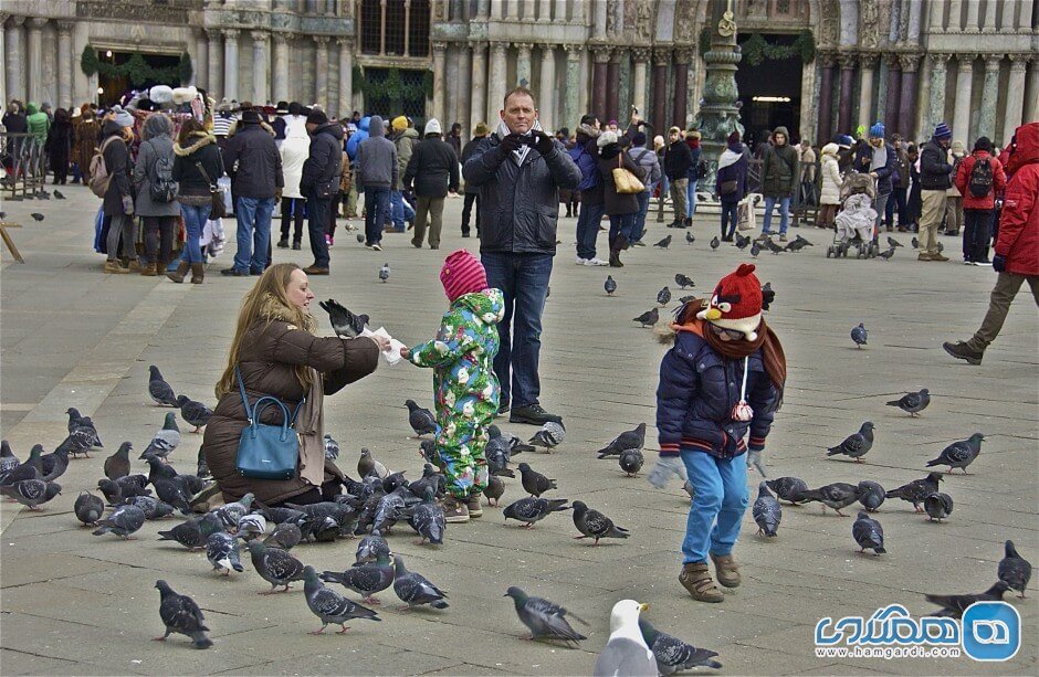 ممنوعیت غذا دادن به کبوترها در ونیز