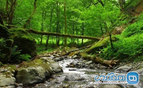 چشمه های آب روستا