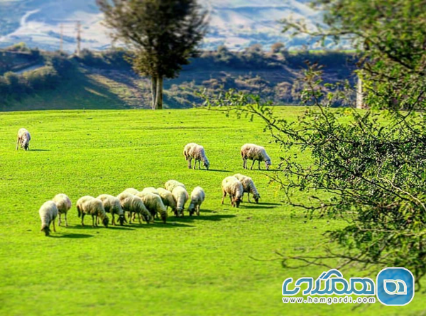 جغرافیای روستای اسطلخ جان