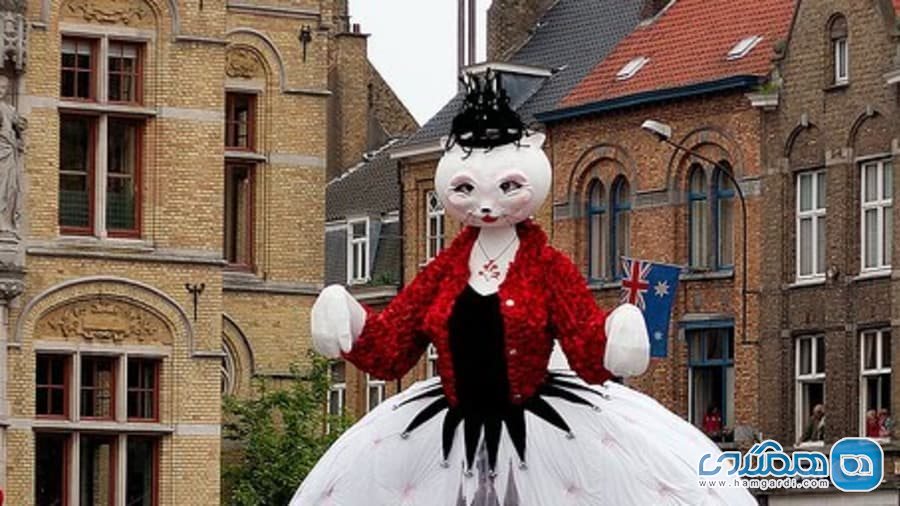 فستیوال گربه ها در بلژیک