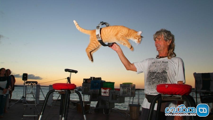 دامینیک و گربه های خانگی پرنده اش در فلوریدا
