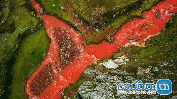 به چه علت آب رودخانه، سرخ رنگ است؟