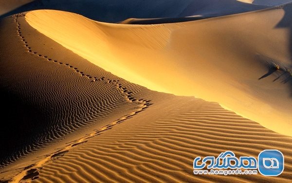 کویر مرکزی ایران