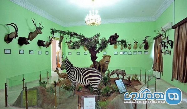 موزه حیات وحش هفت چنار
