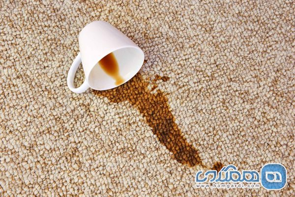 در 3 مرحله ساده لکه قهوه را از روی فرش پاک کنید 2