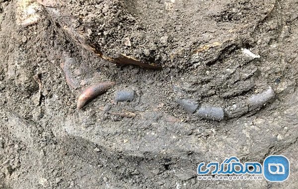 نشانه هایی از انسان شکارگر دوران باستان در غار هوتو کشف شدند
