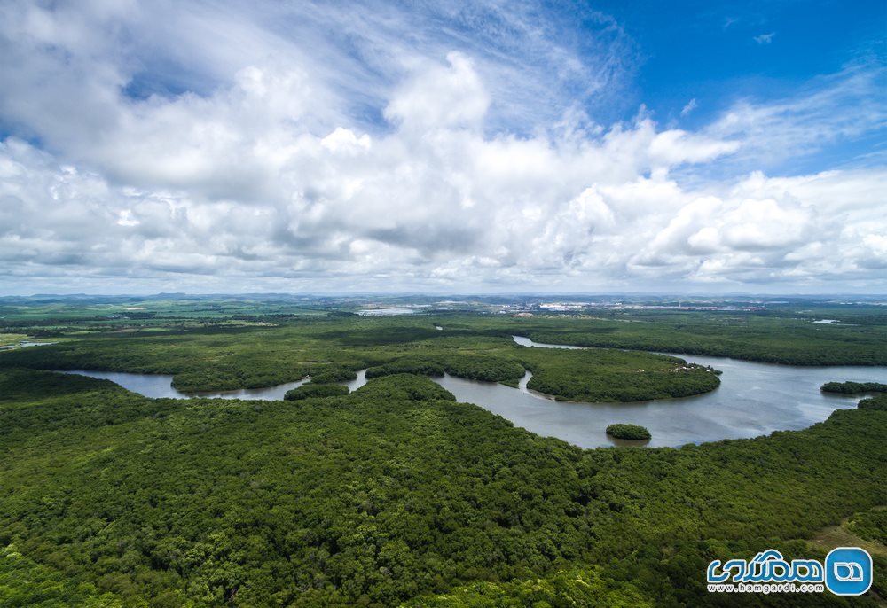 آمازون Amazon