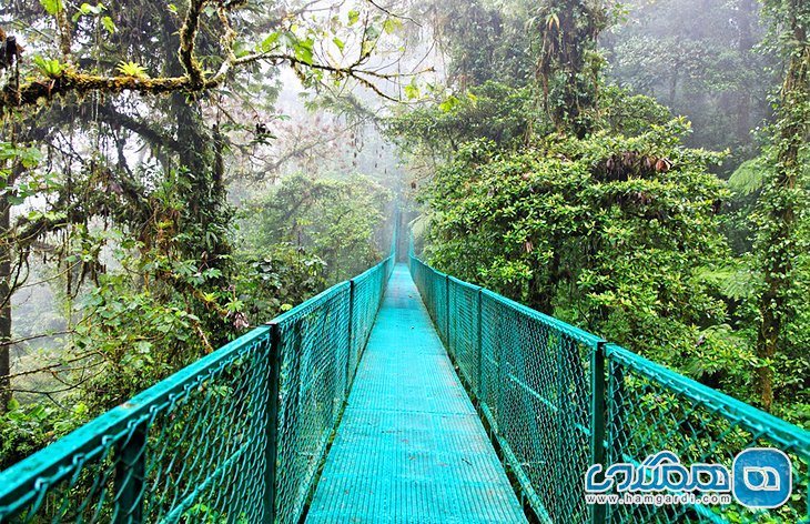 مونته ورده Monteverde و جنگل های ابری