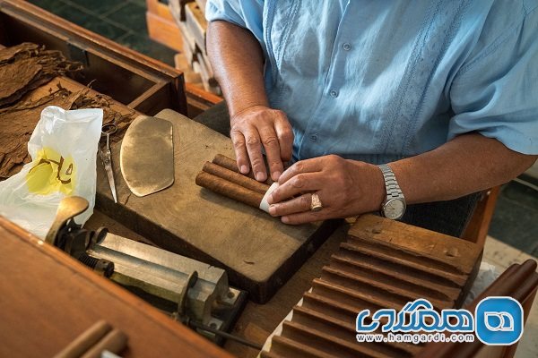 پیشینه تاریخی سیگار برگ 