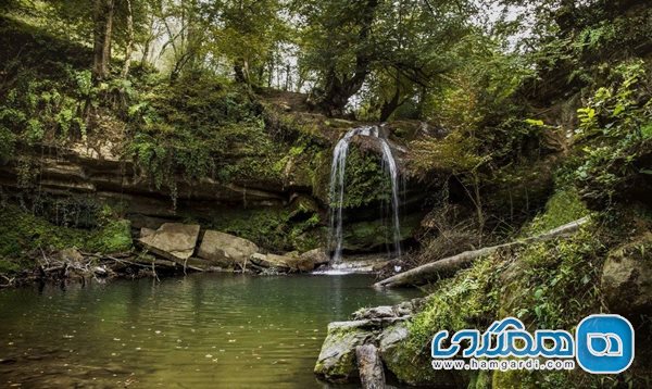 جنگل های شمال ایران قطعه ای از بهشت
