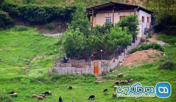 روستای زیارت یکی از مناطق خوش اب و هوای استان گلستان است