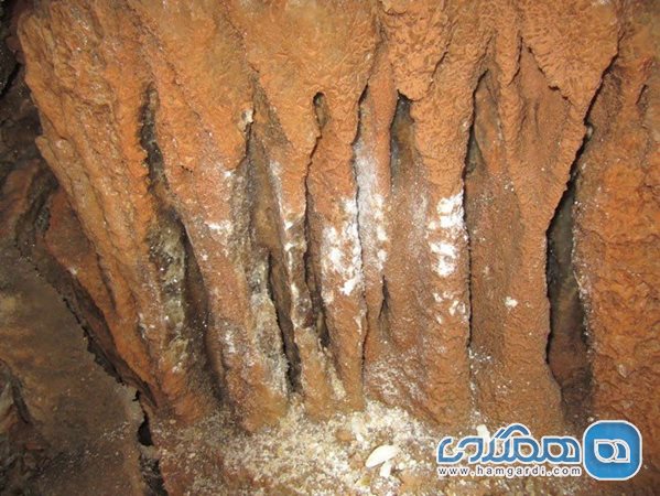 غار نباتی ندوشن یکی از غارهای زيبای استان يزد است