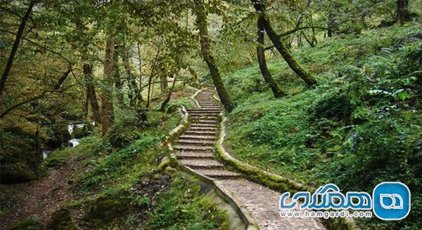 پارک جنگلی ماسوله یکی از زیباترین مناطق جنگلی حفاظت شده شمال کشور است