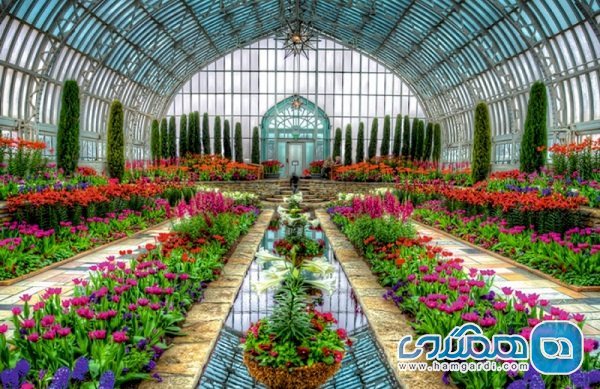 طرح گردشگری گلهای بهاری در پاکدشت برگزار می شود