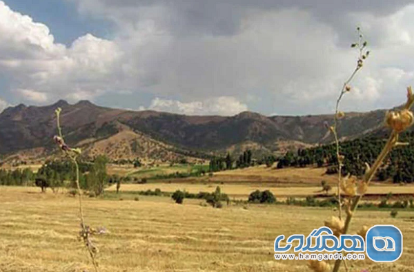 مدیریت پارک جنگلی سورین بانه به میراث فرهنگی کردستان واگذار شد