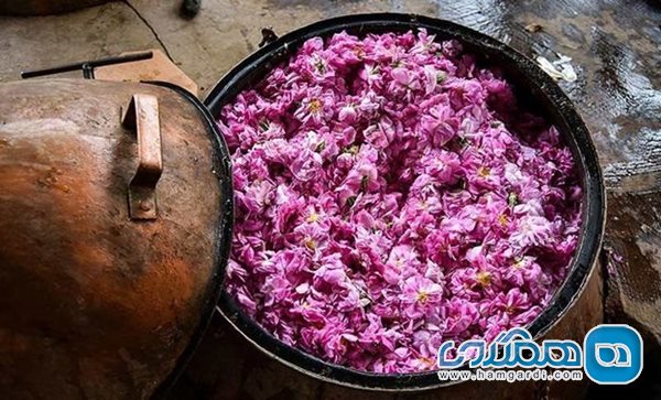 گلاب اصل شیراز را از فروشگاه هیرودنا تهیه کنید