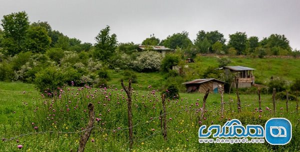 بره سر یکی از مناطق دیدنی و زیبای استان گیلان است