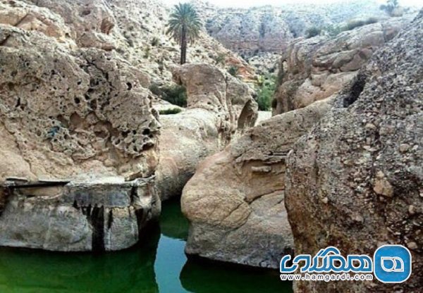 تنگ حنا خوش آب و هواترین منطقه در بوشهر به شمار می رود