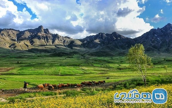 منطقه حفاظت شده بدر و پریشان یکی از جاذبه های گردشگری کردستان است