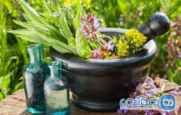 برگزاری جشنواره گیاهان دارویی و سبزیجات معطر در روستای گرگاک زرند