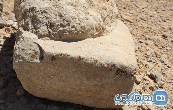 کشف یک پایه ستون ساسانی در یکی از روستاهای فاروق مرودشت