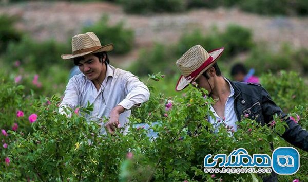 نخستین مزرعه گردشگری آذربایجان غربی در نقده راه اندازی می شود