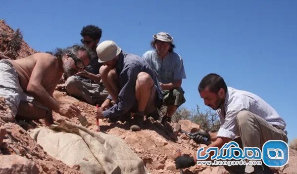 کشف فسیل یک دایناسور کوچک زرهی ناشناخته در جنوب آرژانتین