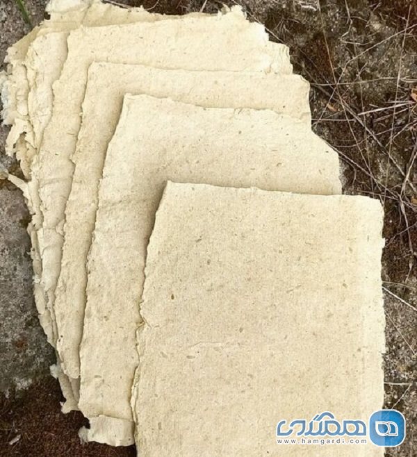 کارشناس هنر اسلامی در رامسر توانسته تا با کاه برنج کاغذ دستی تولید کند