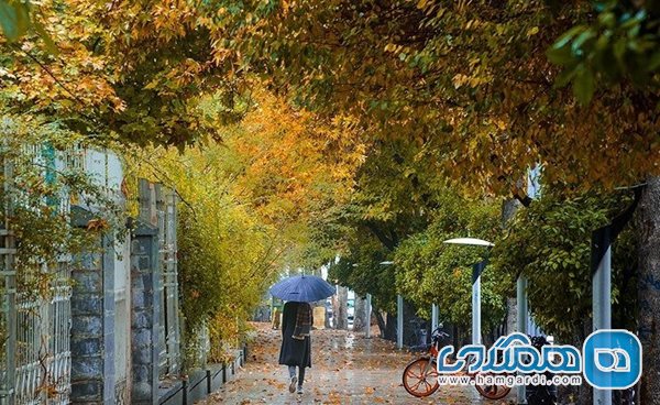 محله بلوار ارم شیراز