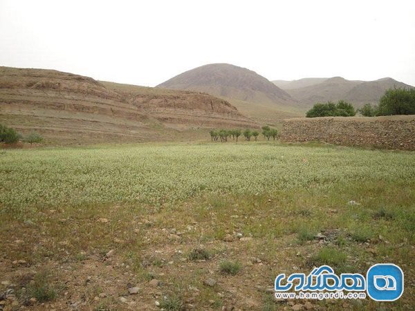 پناهگاه حیات وحش جاسب یکی از جاذبه های گردشگری استان مرکزی است