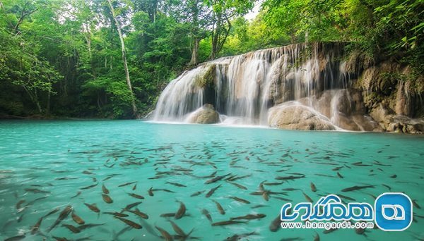 پارک مو کو سورین یکی از پارک های ملی کشور تایلند است