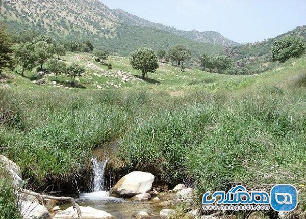 منطقه حفاظت شده بلس کوه یکی از دیدنی های استان مازندران است