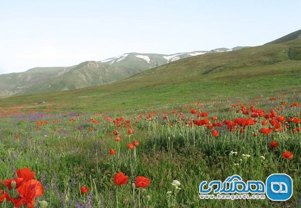 منطقه حفاظت شده یاری قاری یکی از دیدنی های آذربایجان شرقی است