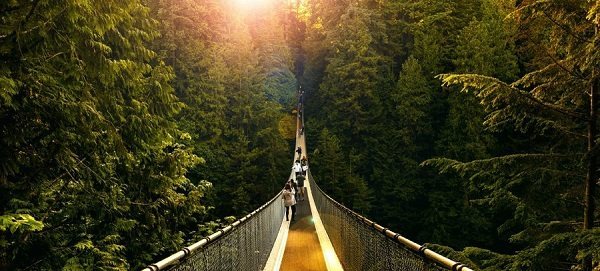 پل معلق کاپیلانو یکی از جاذبه های گردشگری کشور کانادا است