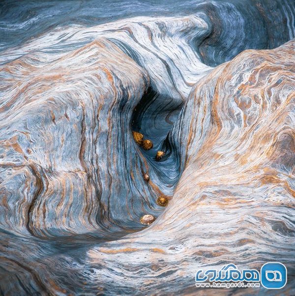 «بازی با صدف کوهی» اثر «سیمون ترنبول» برنده بخش نگاه شما