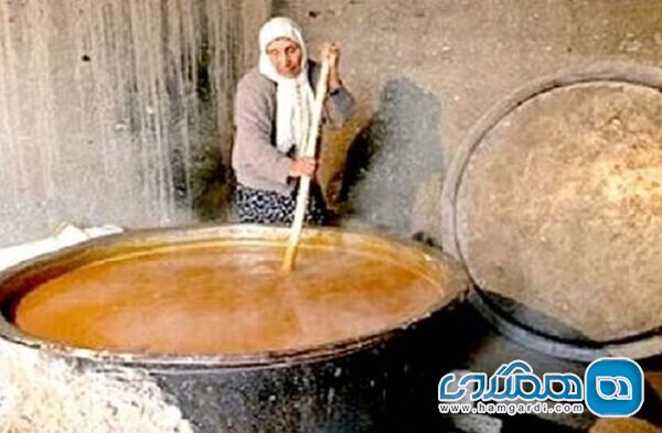 تولید سالانه حدود 40 تن سمنو در شهر درق
