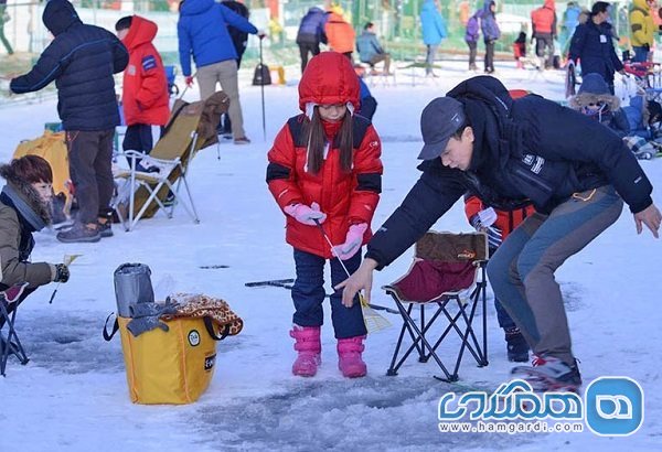 فستیوال یخ هواچون سانچونیو یکی از فستیوال های معروف کره جنوبی است