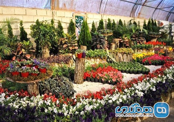 شهرستان پاکدشت به منطقه نمونه گردشگری گل و گیاه تبدیل می شود