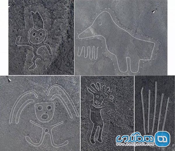  کشف مجموعه جدیدی از نقشهای تاریخی مشهور به خطوط نازکا در صحرایی واقع در پرو 