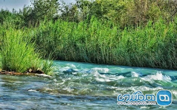 پارک جنگلی خارستان یکی از تفرجگاه های استان خوزستان به شمار می رود