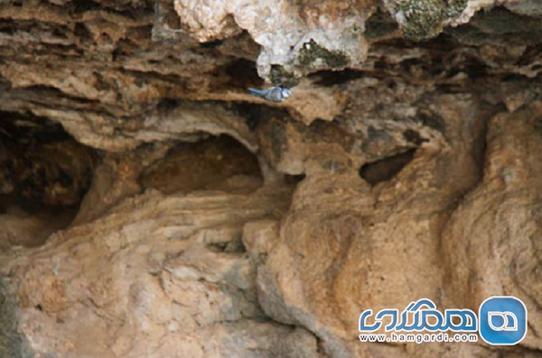 غار گاکال یکی از دیدنی های استان کهگیلویه و بویراحمد به شمار می رود