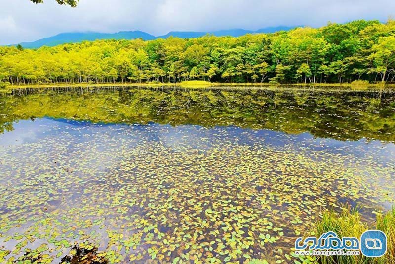 پارک ملی شیرتوکو ژاپن