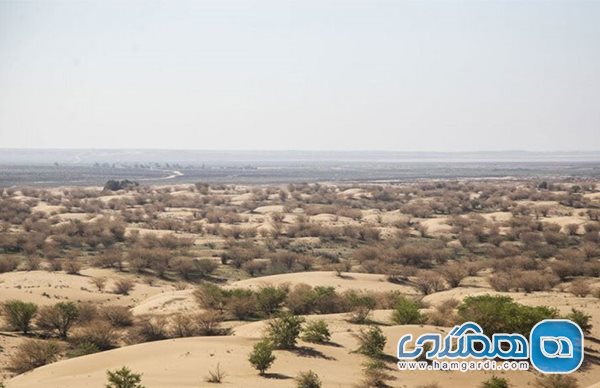 منطقه شکار ممنوع ام الدبس یکی از جاذبه های دیدنی استان خوزستان است